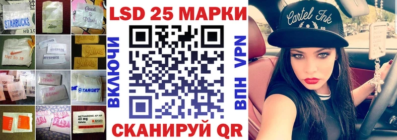 kraken вход  Нововоронеж  Лсд 25 экстази кислота 