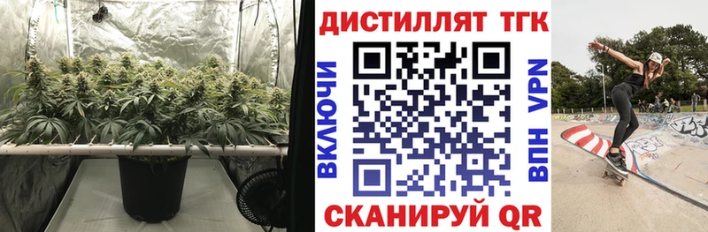 продажа наркотиков  Нововоронеж  блэк спрут ссылки  ТГК THC oil 